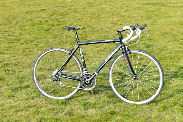 ribble campagnolo